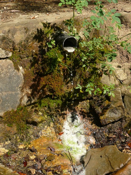 Schwefelquelle beim Chragenbad