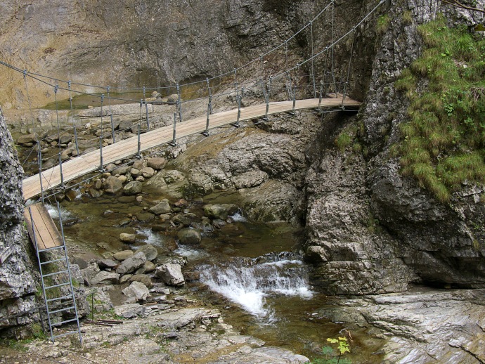 federnde Hängebrücke