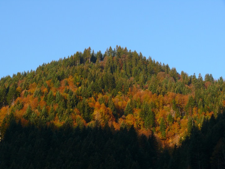 Herbstfarben