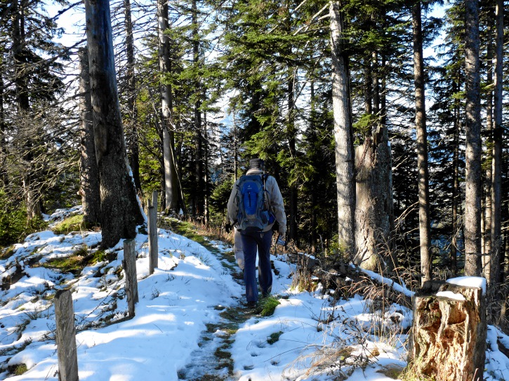 auf dem Schwyzer Höhennweg beim Gschwändstock