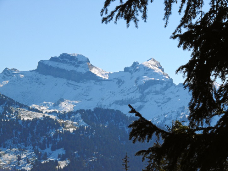 Druesberg und Forstberg