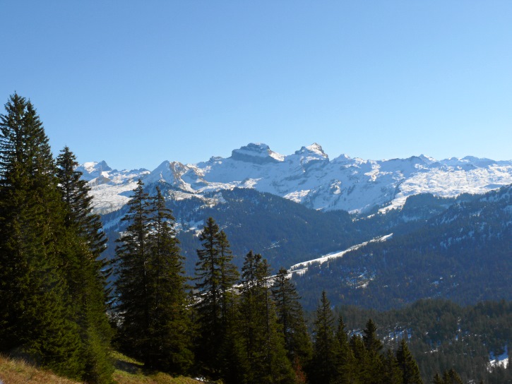 Druesberg und Forstberg 