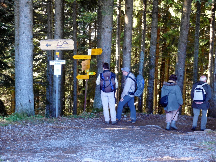 Orientierungssuche am Wegweiser