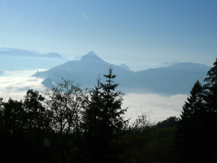 Rigi Hochflue