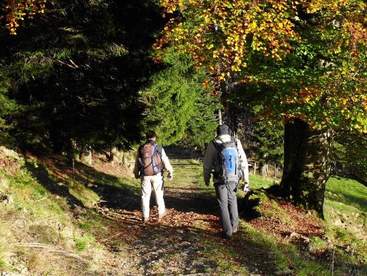 Abstiegsweg nach Alpthal