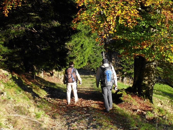 Abstiegsweg nach Alpthal