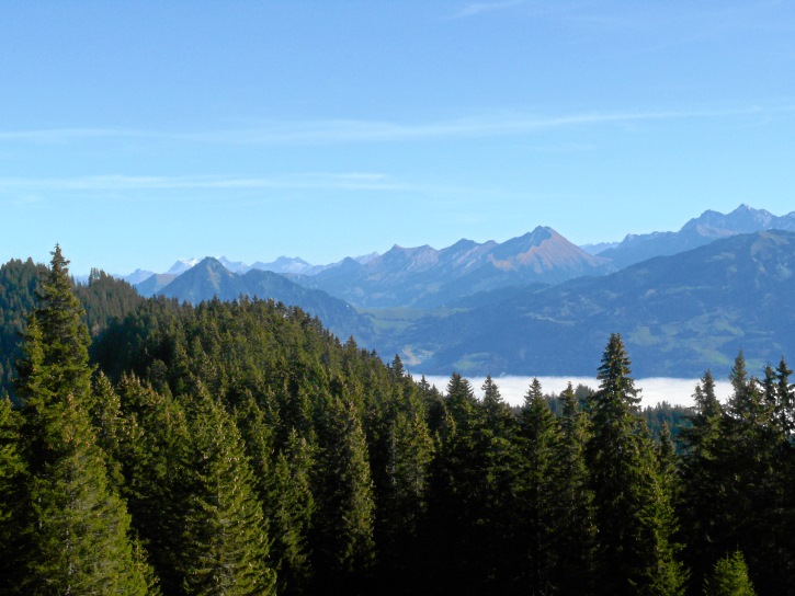 Blick auf Braunwald