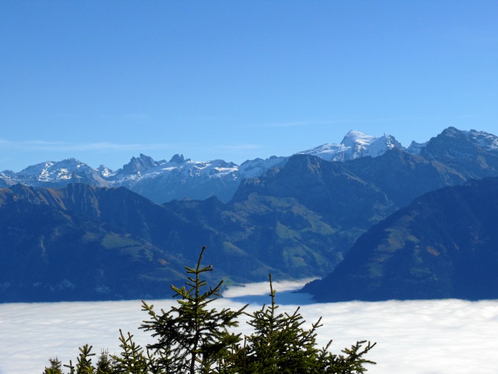 Legerwand und Bärentritt