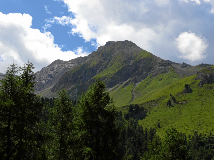 Blick von Pradatsch aus