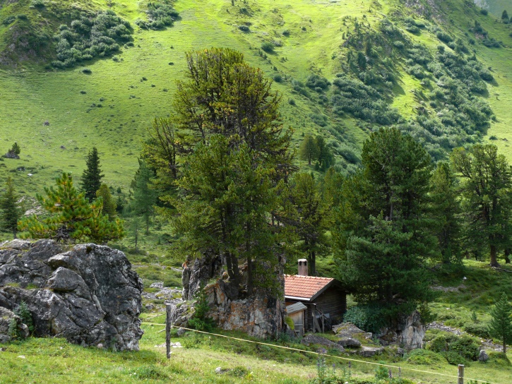 sich hinter einem Felsen verschanzende Almhütte