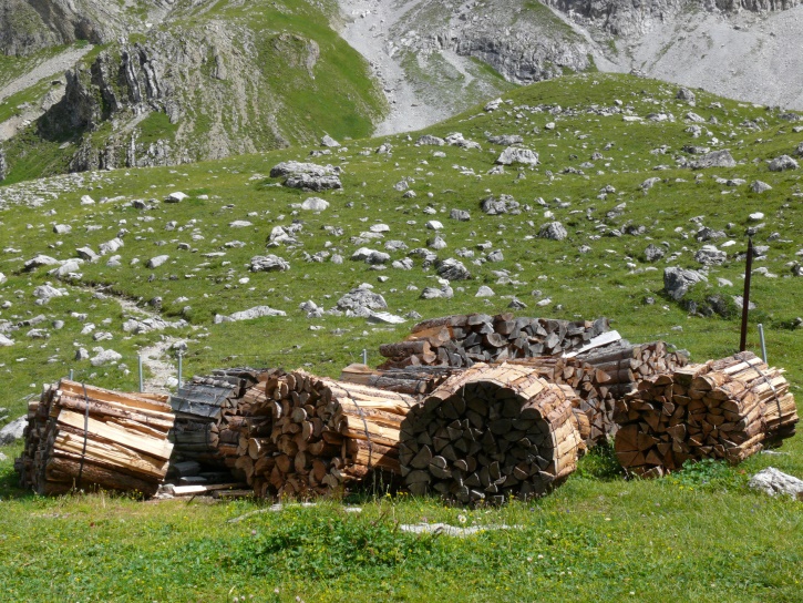 Feuerholz bei der Ela-Hütte