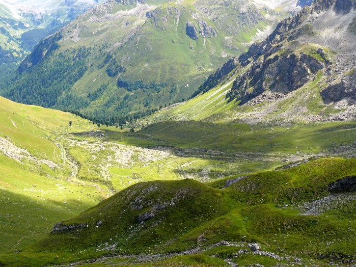 Blick ins Tschittatal; die Baumgrenze liegt hier bei immerhin etwa 2100 m, 300 m höher als in den deutschen Alpen