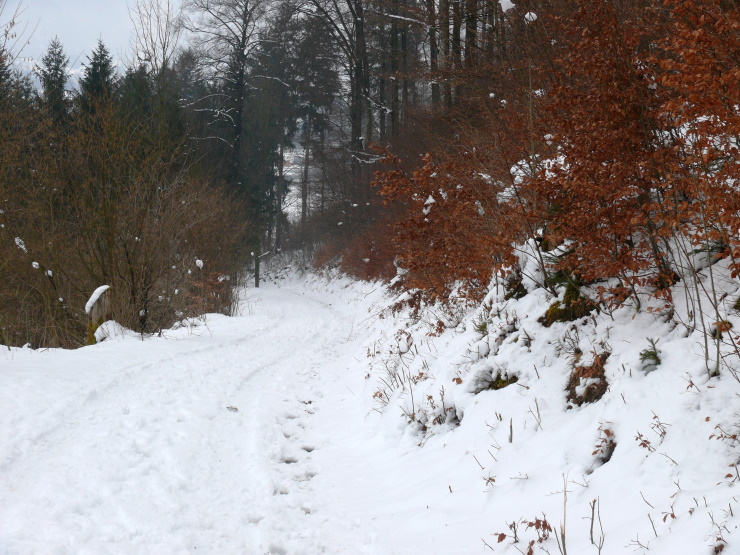 von Balsthal nach Schwengimatt