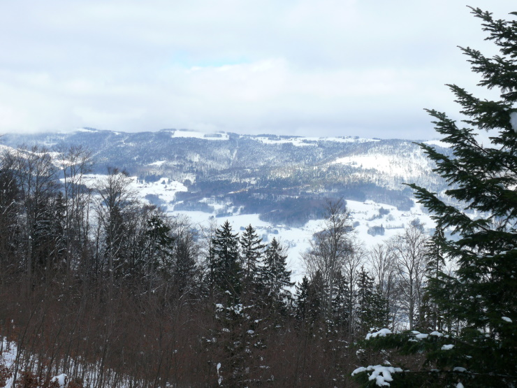 Jura-Höhenzüge (Sunneberg)