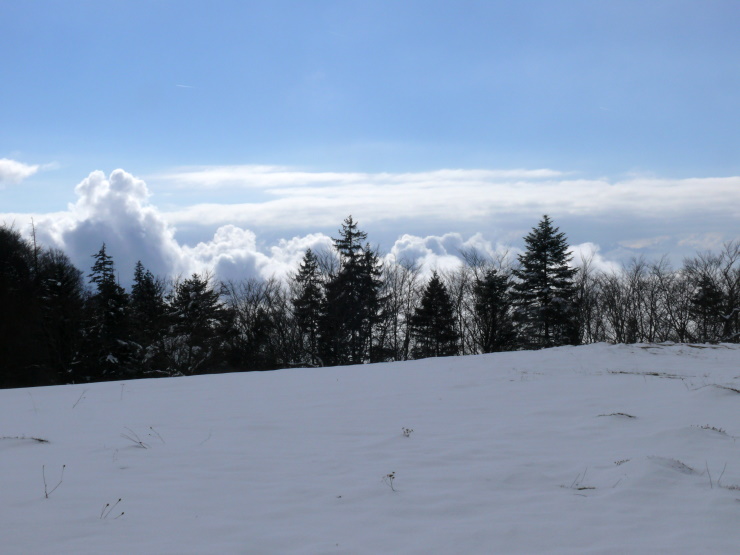 Nebel überm Aaretal