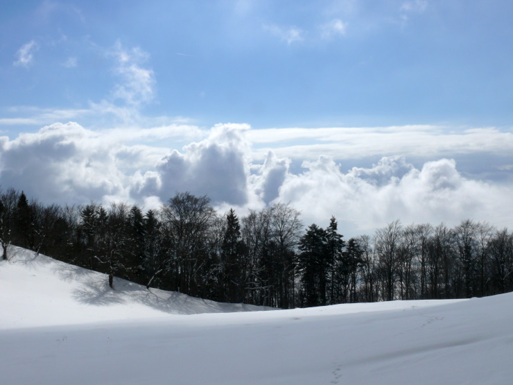 Nebel überm Aaretal