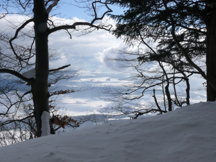 Nebel überm Aaretal