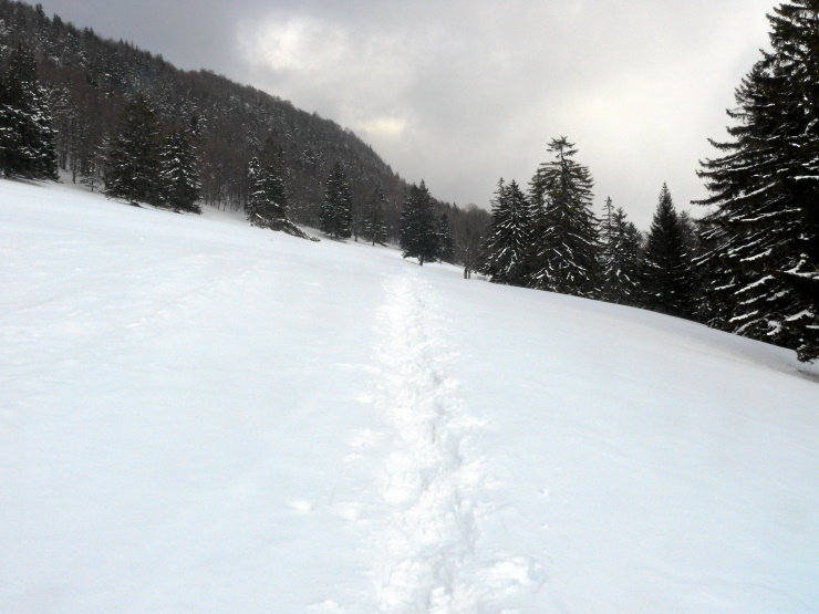 Spuren im Schnee