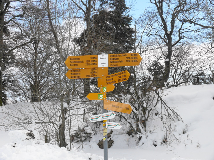 Wegweiser bei der Alpe Hinteregg