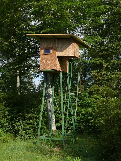 Hochstand bei Buchheim