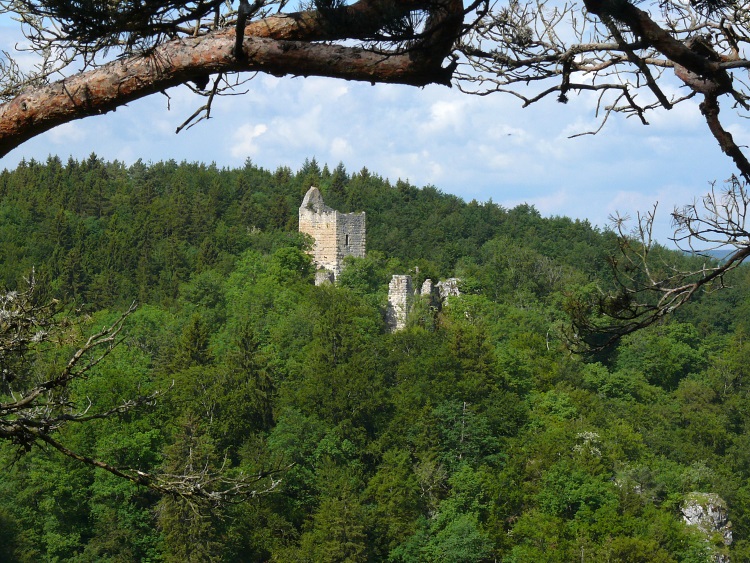 Ruine Kallenberg