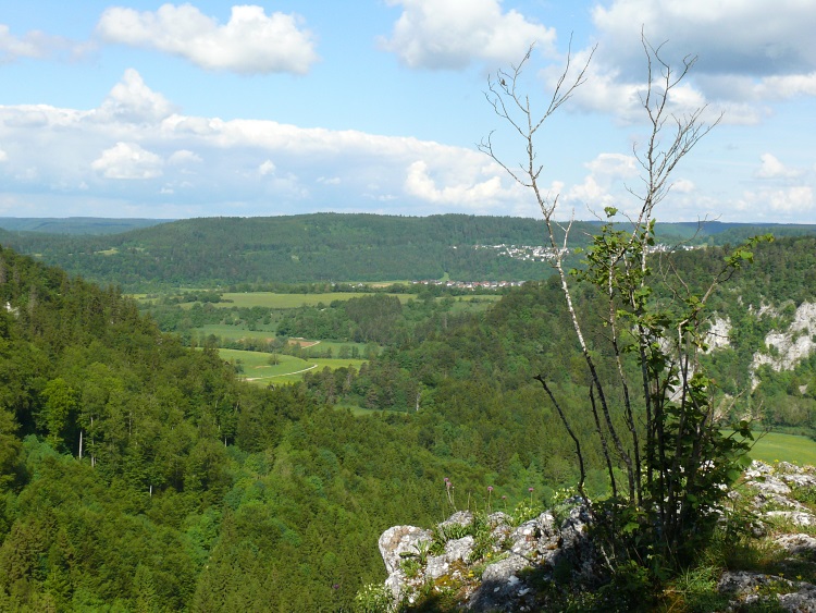 Aussichtspunkt übers Donautal bei der Ruine Kallenberg