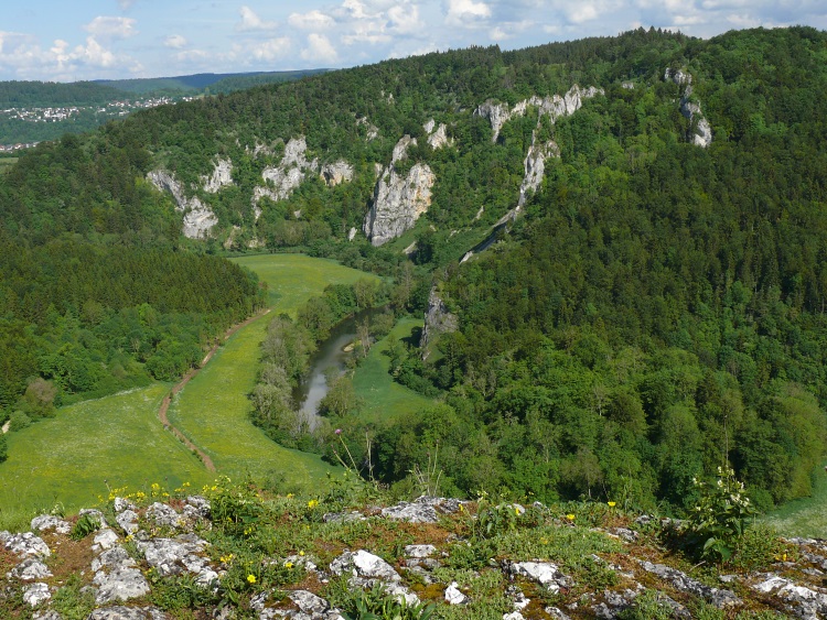Aussichtspunkt übers Donautal bei der Ruine Kallenberg