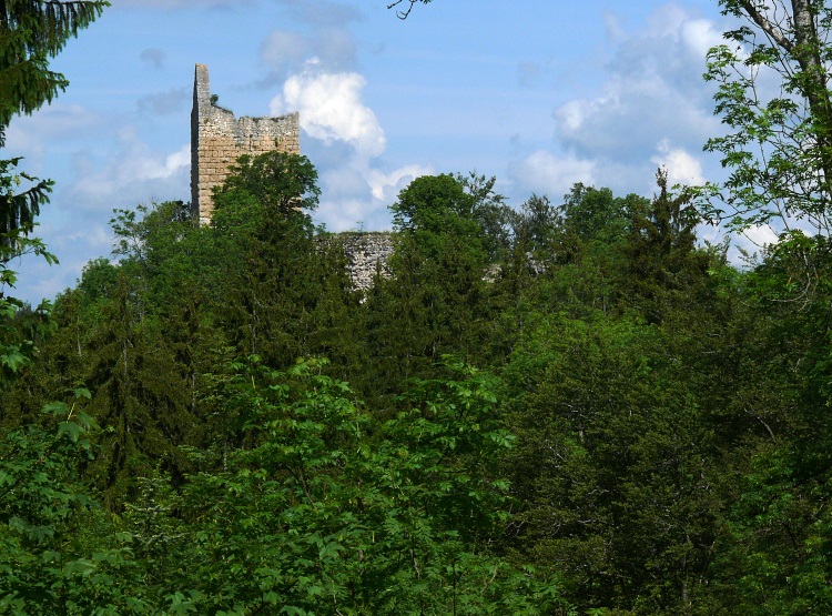 Ruine Kallenberg