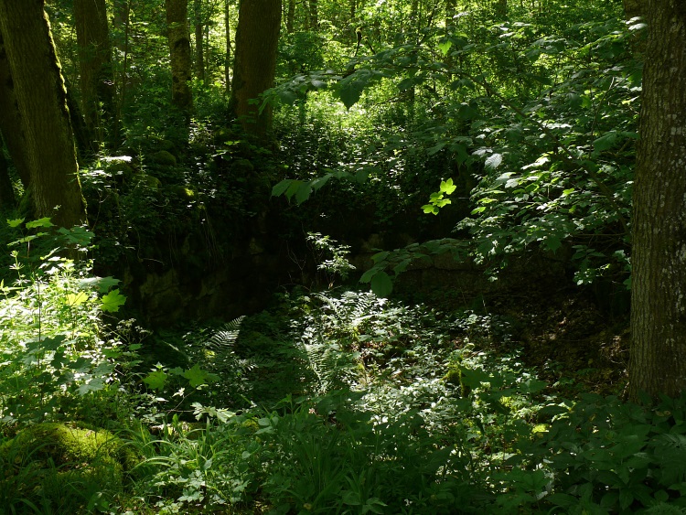 verfallene Zisterne Kallenbergerhof