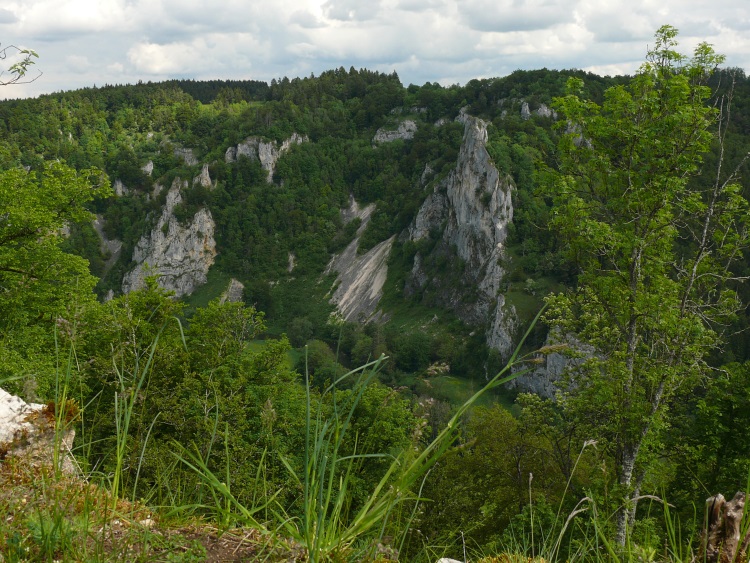 Blick von der Ruine Kallenberg übers Donautal