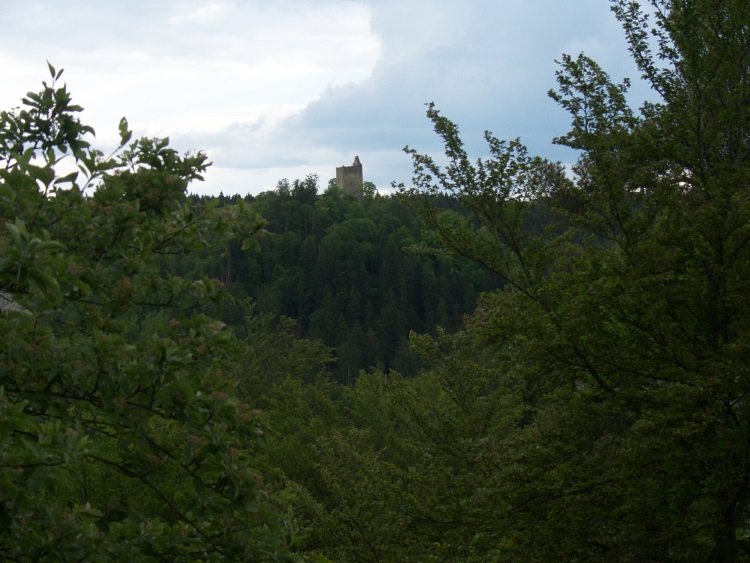 Ruine Kallenberg