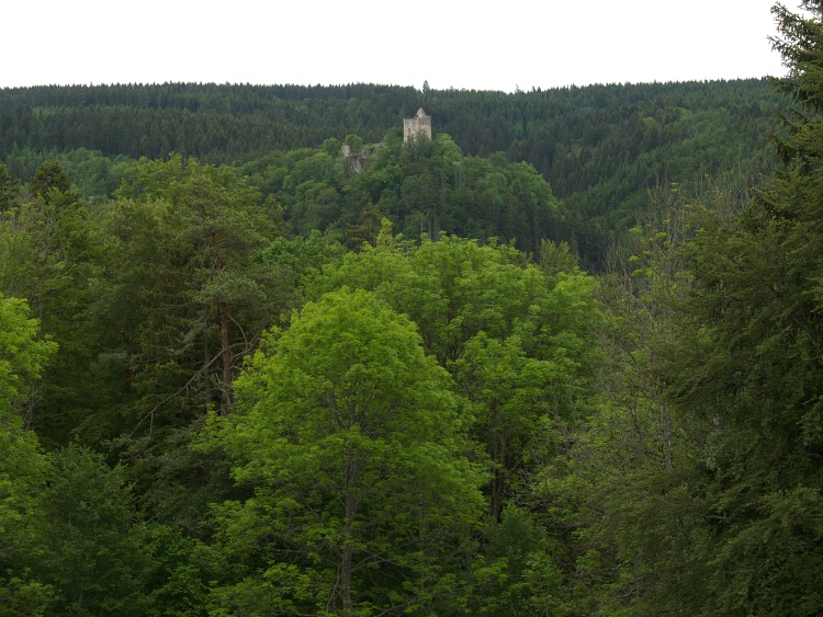 Ruine Kallenberg