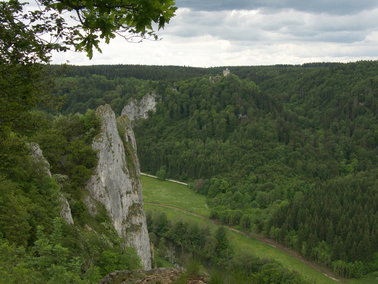 Stiegelesfels und Ruine Kallenberg