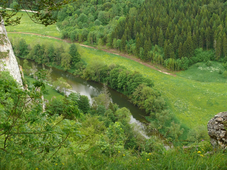 Donau beim Stiegelesfels