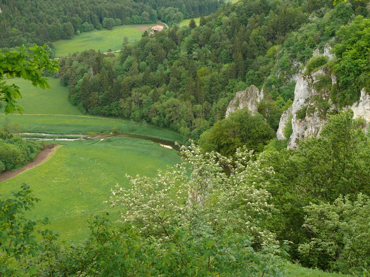 Donau beim Stiegelesfels