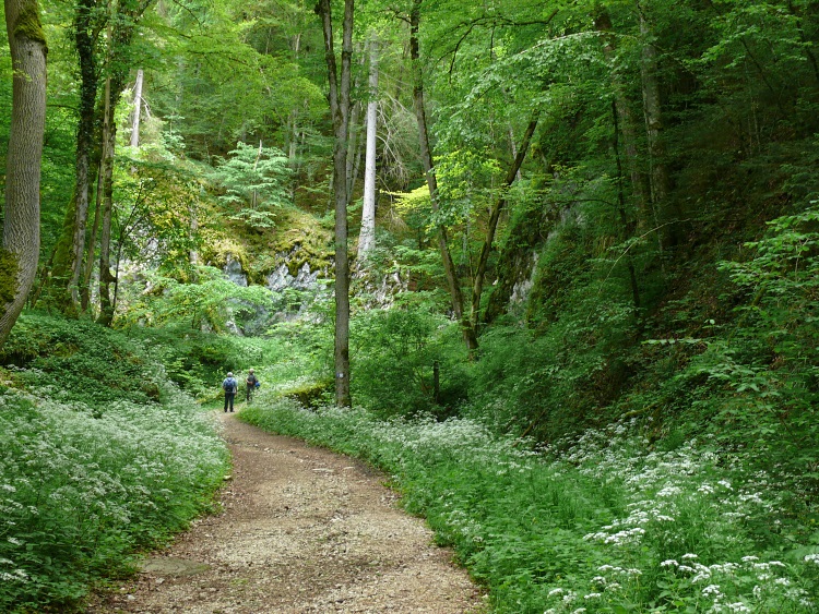 Wanderweg durchs Liebfrauental