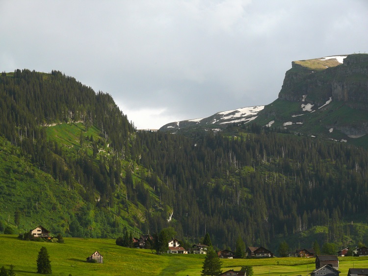 Waldgebiet zwischen Gamserrugg und Chäserrugg