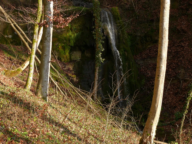 Wasserfall im Gasstobel