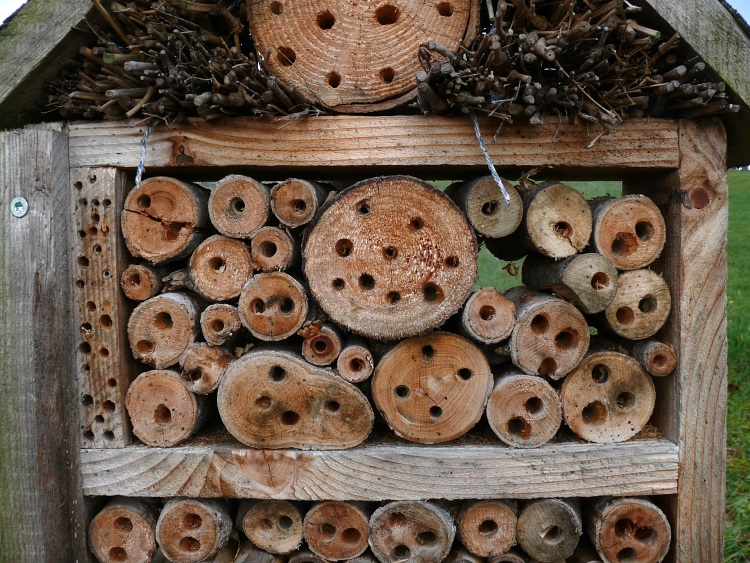 Ein Bienenhotel bei Wetzikon (TG)