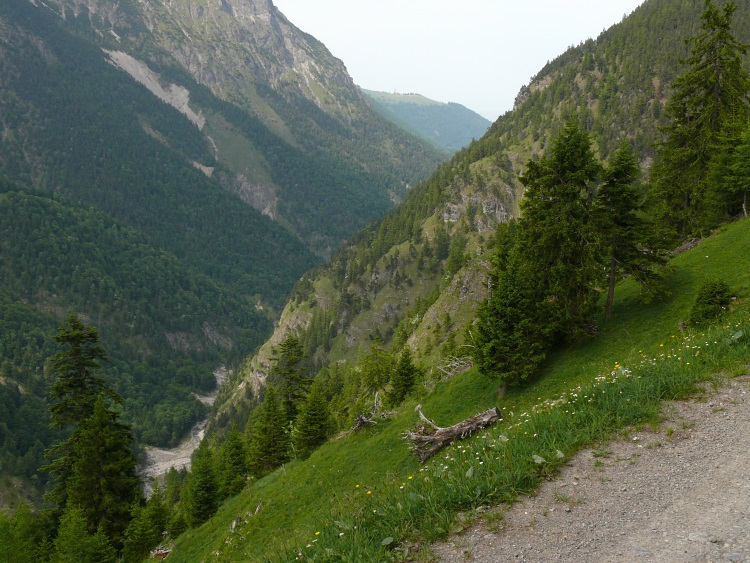 Blick ind die Schlucht des Stägerbaches