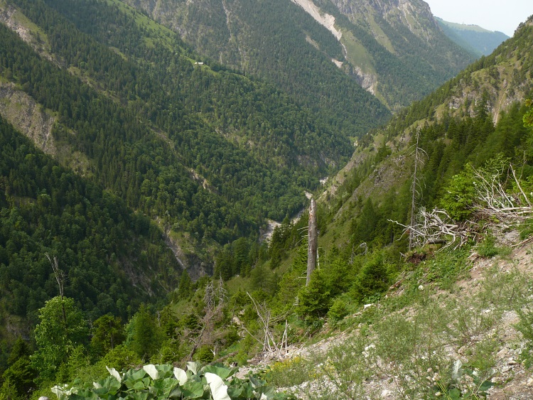 Blick ind die Schlucht des Stägerbaches