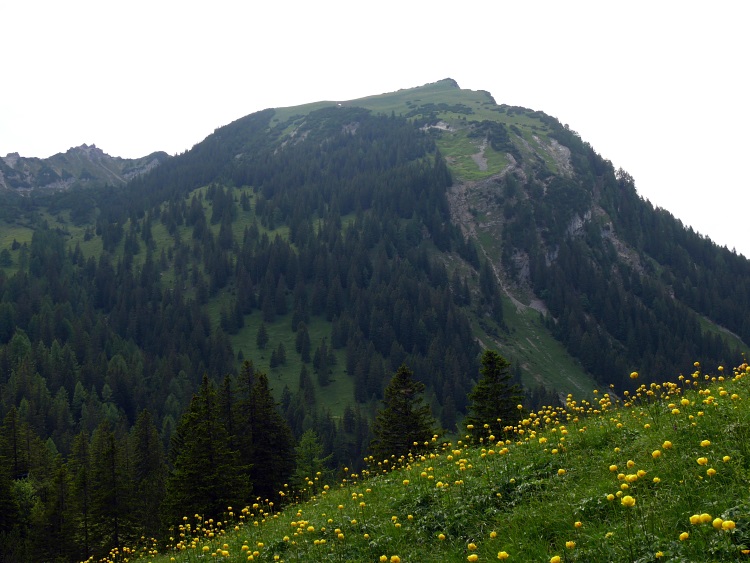 Schönberg von Osten