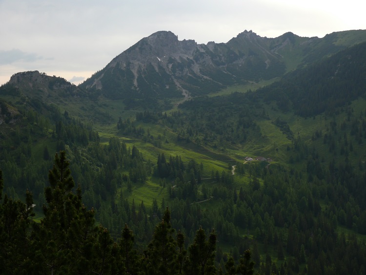 Drei Kapuziner und Stachlerkopf