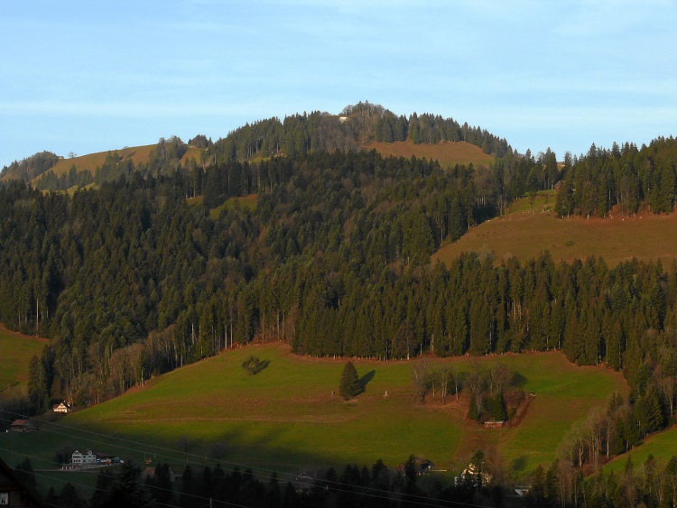 Berghänge am Wattwiler Hummelwald