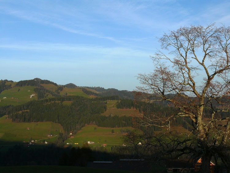 Hügelkette überm Rickentobel