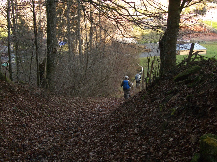 Abstiegsweg am Stelxbach entlang